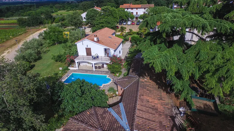 Ferienwohnung in Porec mit Pool und haustiergeeignet 999208735 36689 – Foto 4