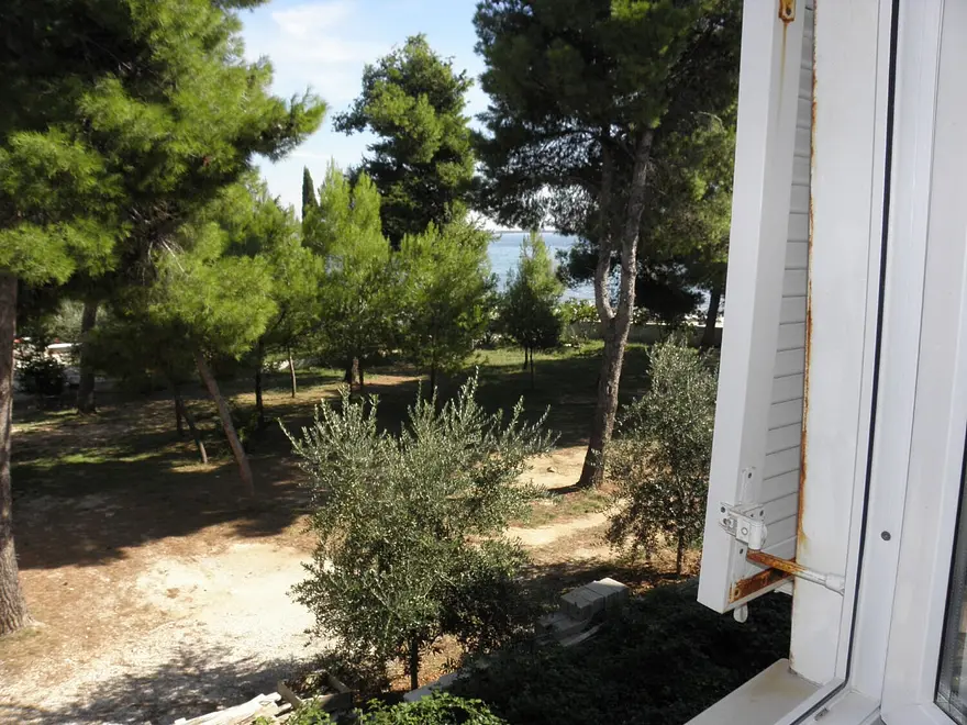 Ferienwohnung in Vir haustiergeeignet 66152360 26259