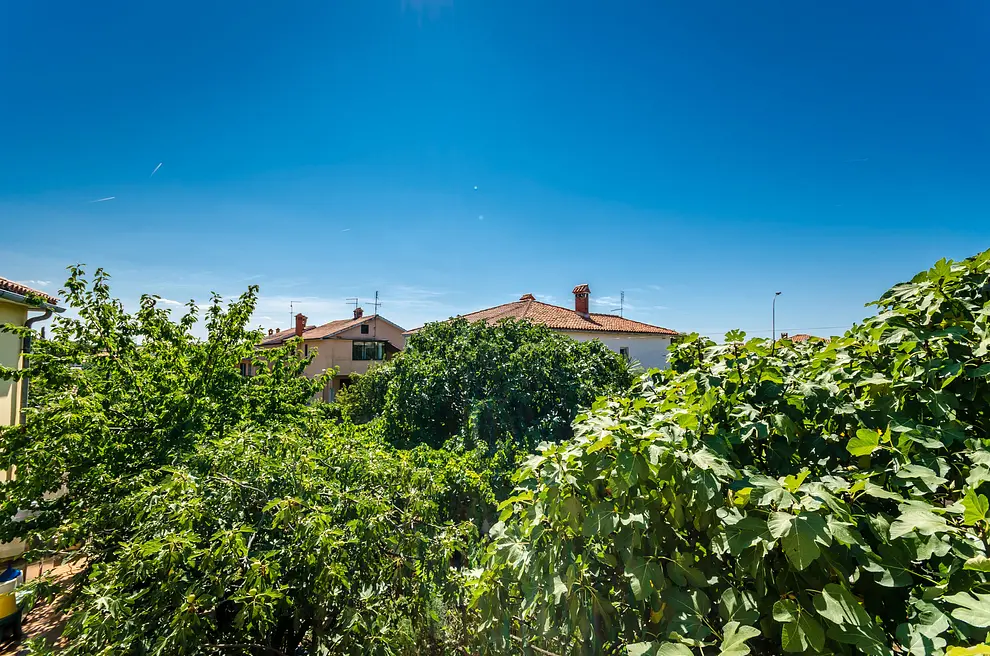 Ferienwohnung in Umag haustiergeeignet 999203283 31538 – Foto 2