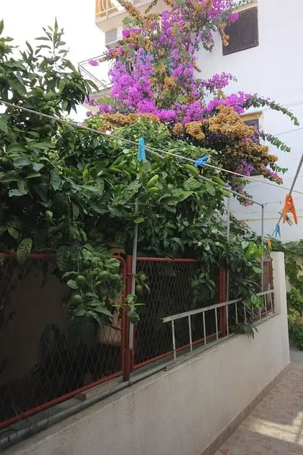 Ferienwohnung in Vis  999210561 38412 – Foto 5