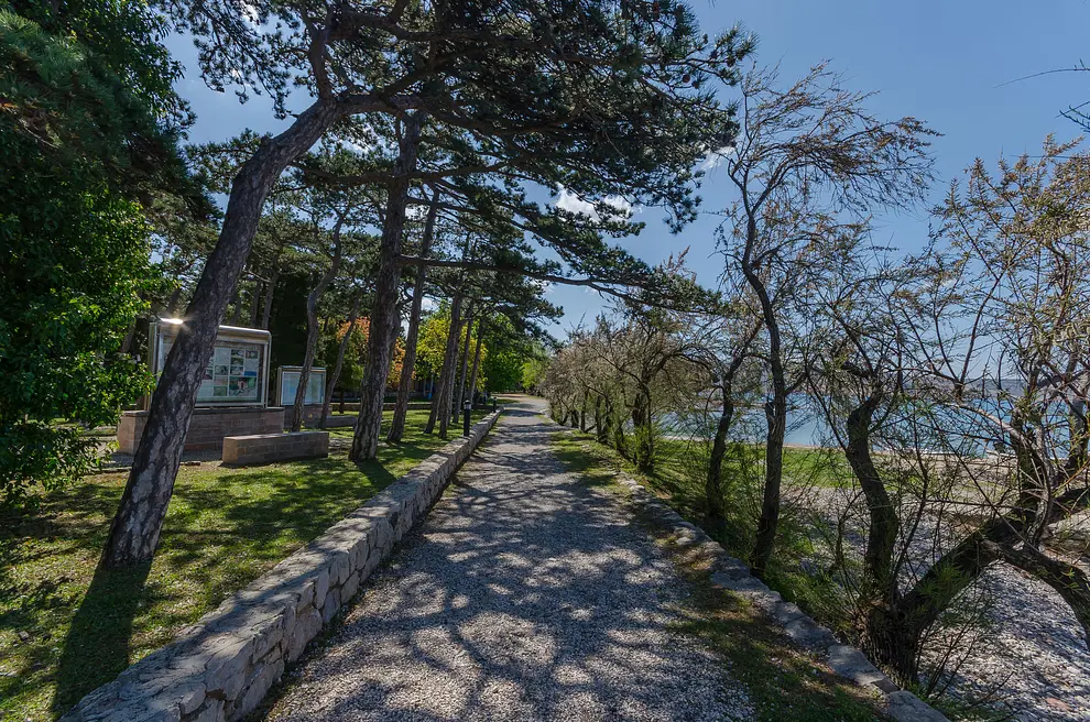 Ferienwohnung in Starigrad  999206488 34589 – Foto 5