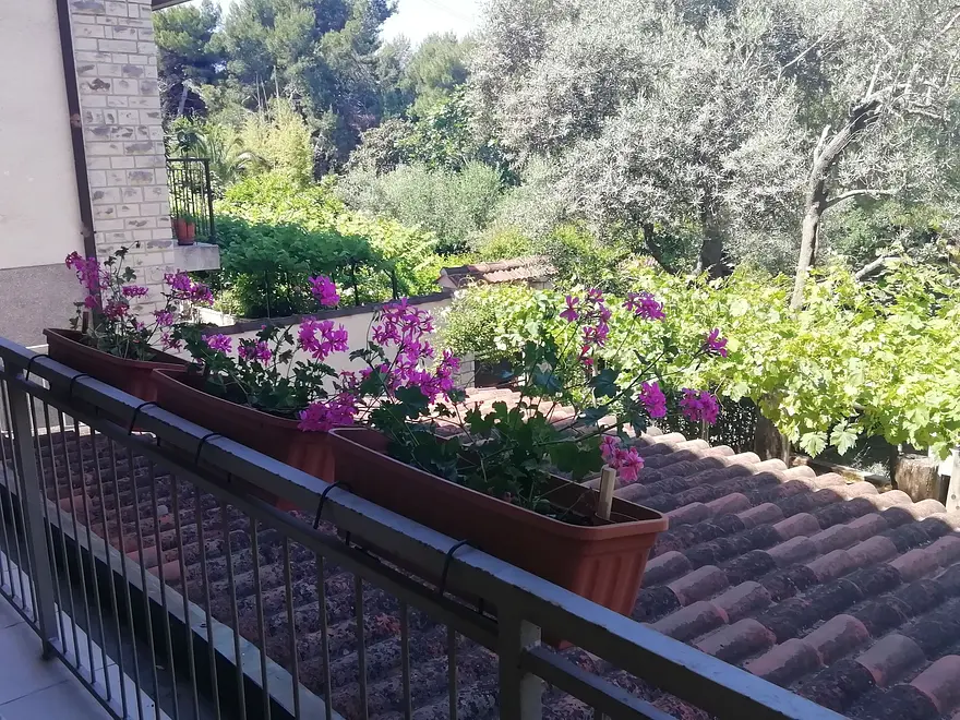 Ferienwohnung in Pula  999204181 32391 – Foto 6