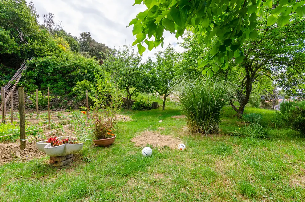 Ferienwohnung in Palit haustiergeeignet 999206368 34473 – Foto 3