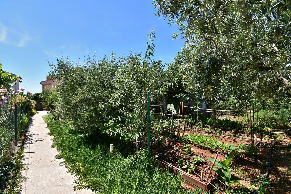 Ferienwohnung in Fazana  999205844 33976 – Foto 19