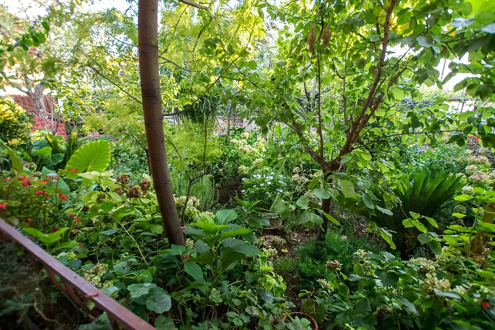 Ferienwohnung in Starigrad  66133114 18184