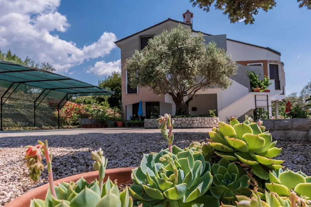 Ferienwohnung in Palit  999227740 42536 – Foto 10