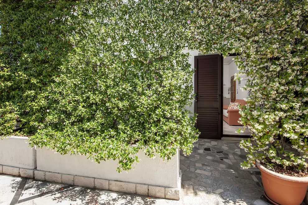 Ferienwohnung in Rovinj  999203627 31862 – Foto 29