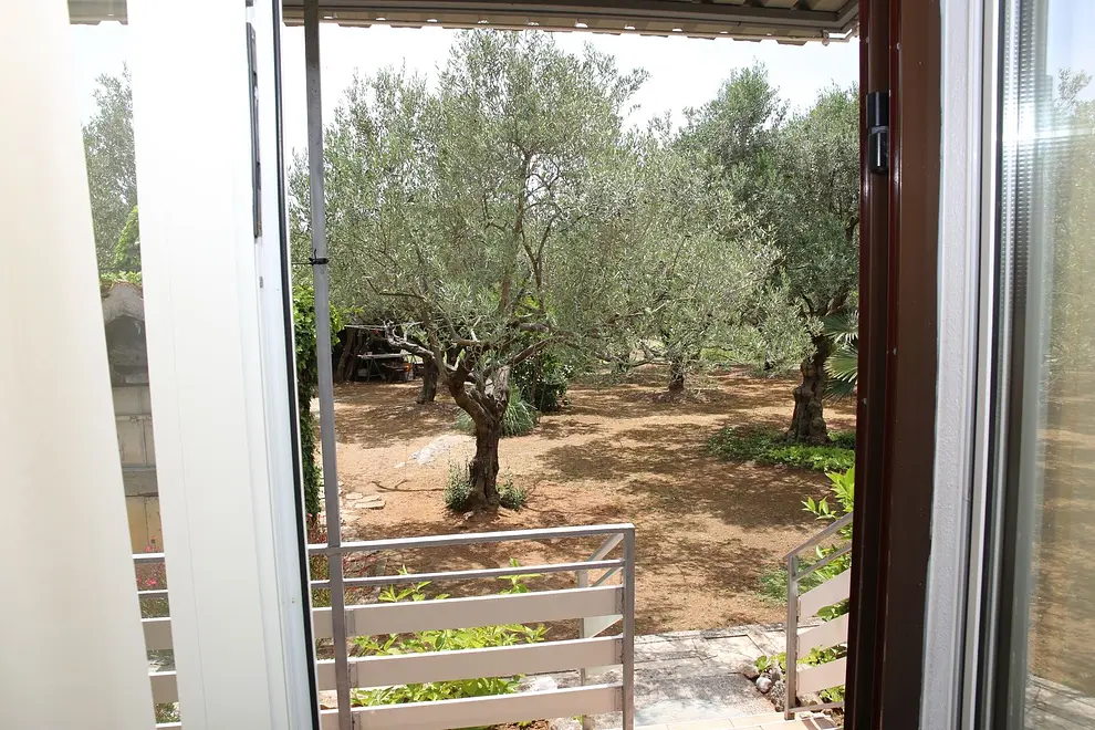 Ferienwohnung in Vodice haustiergeeignet 66151722 25783