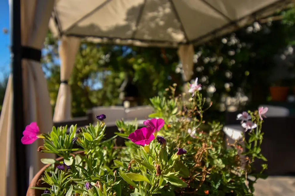 Ferienappartment in Palit  999212540 40144