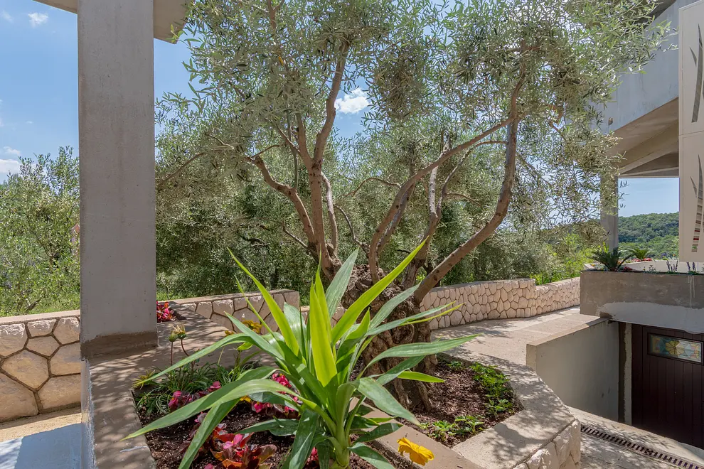 Ferienwohnung in Palit  999227748 42544 – Foto 17