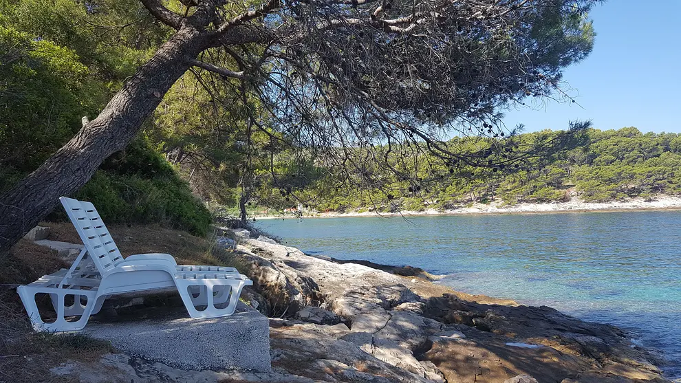 Ferienwohnung in Brac haustiergeeignet 6611815 713