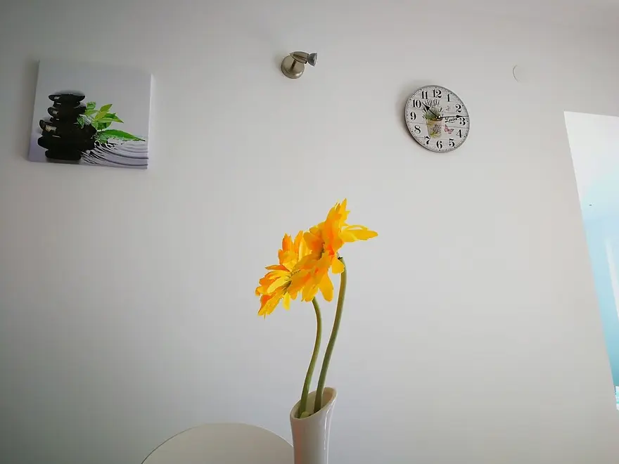 Ferienwohnung in Rogoznica  999204753 32941 – Foto 22