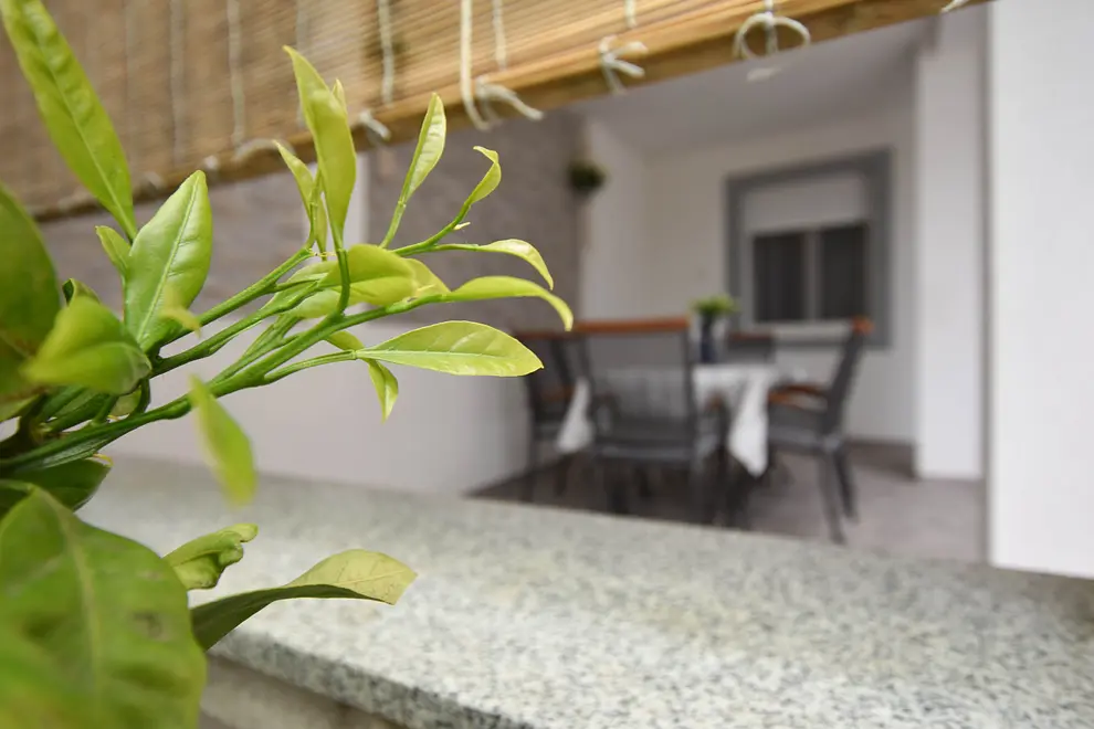 Ferienwohnung in Biograd haustiergeeignet 999206555 34653 – Foto 6