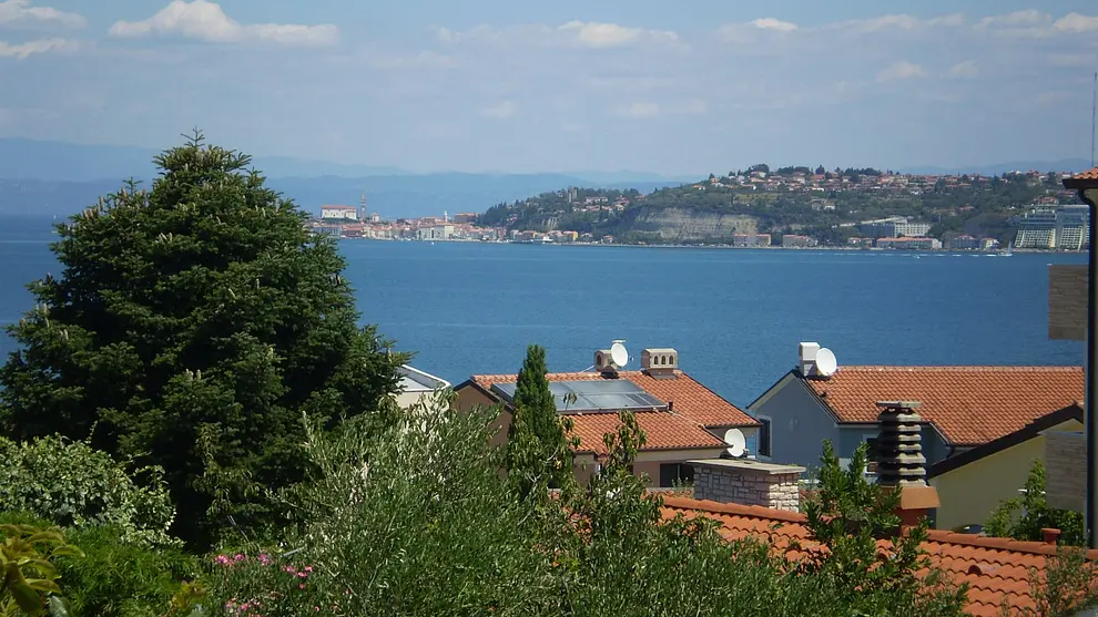 Ferienwohnung in Umag haustiergeeignet 66126853 13334