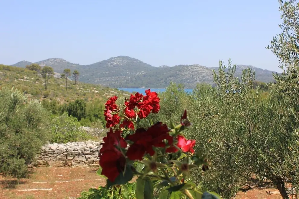 Ferienwohnung in Dugi Otok haustiergeeignet 999211377 39153 – Foto 19