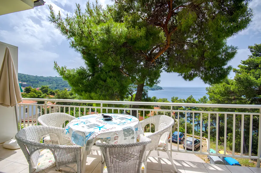 Ferienwohnung in Blato  6616049 1328