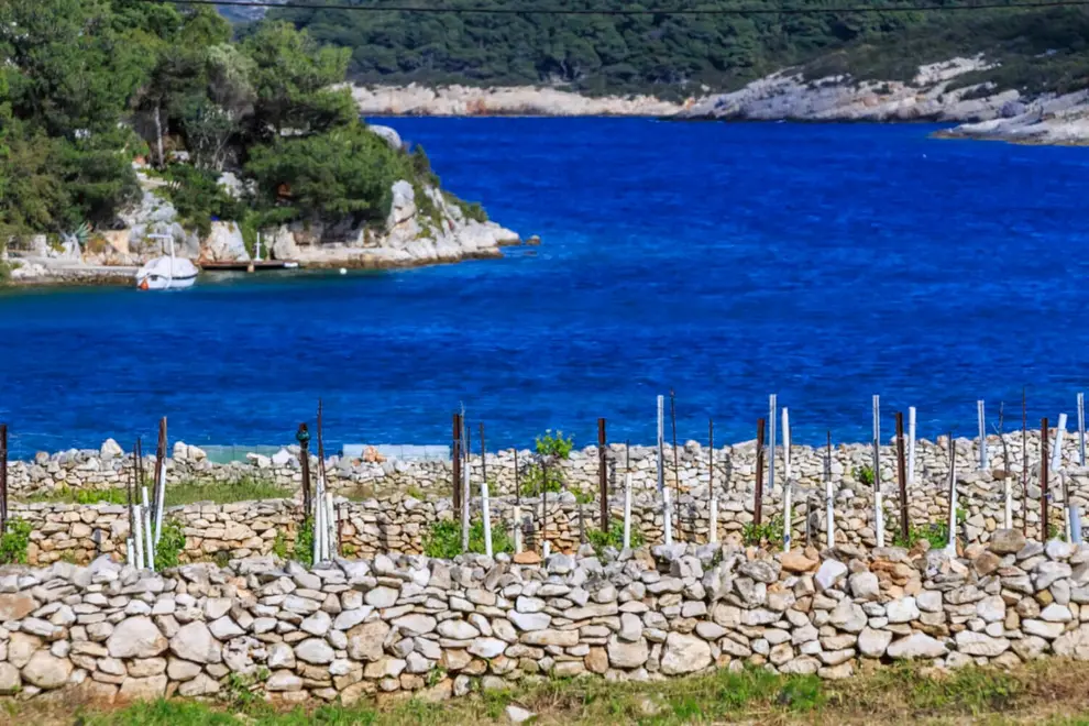 Ferienwohnung in Vis  999213297 40821