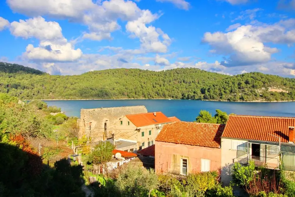 Ferienwohnung in Mljet  999211826 39560 – Foto 3