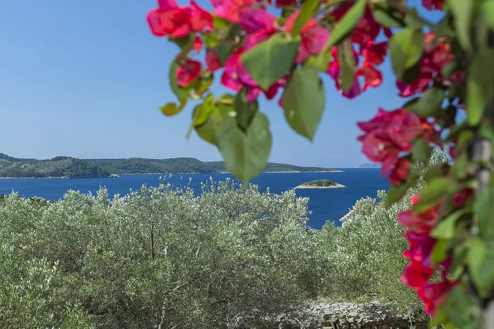 Ferienwohnung in Korcula  999210417 38279 – Foto 26
