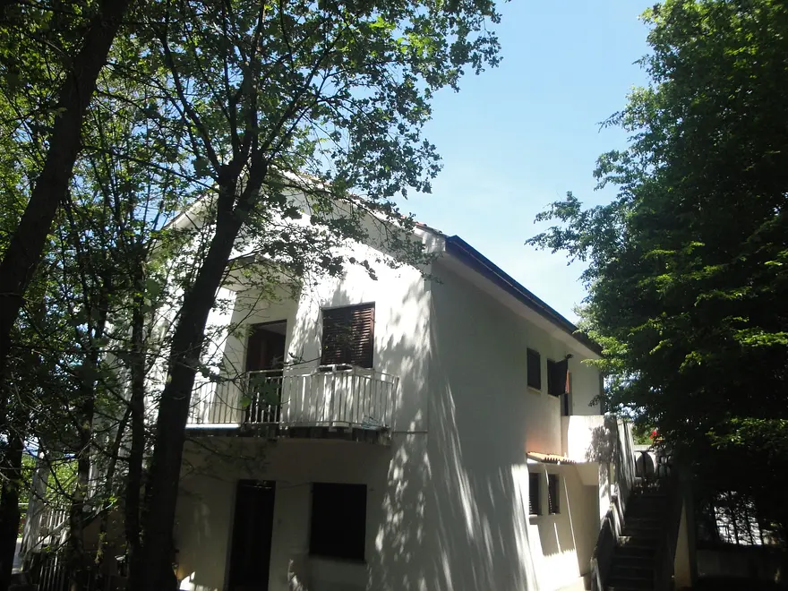 Ferienwohnung in Dobrinj haustiergeeignet 66123829 11047