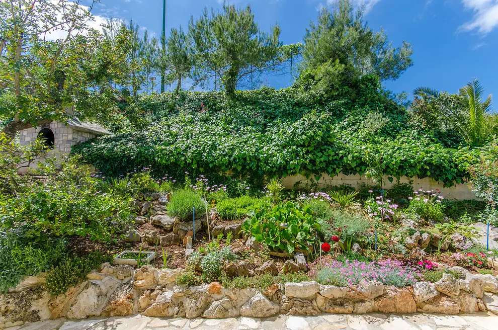 Ferienwohnung in Solta mit Pool 999204443 32638 – Foto 9