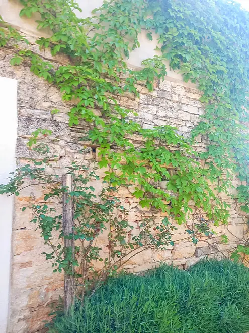 Ferienwohnung in Zminj  999235036 42962 – Foto 18