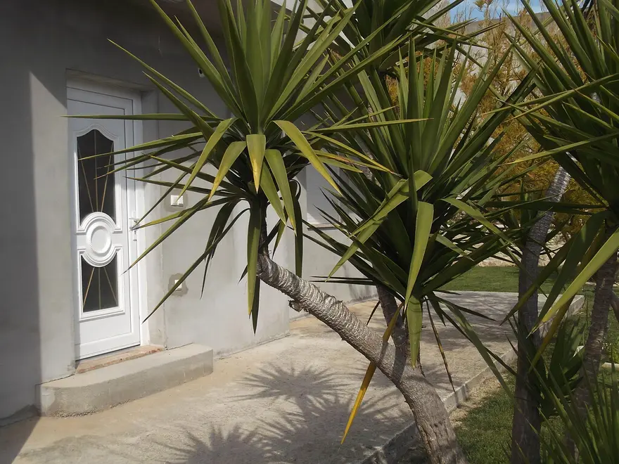 Ferienwohnung in Kastela  999211667 39427 – Foto 6