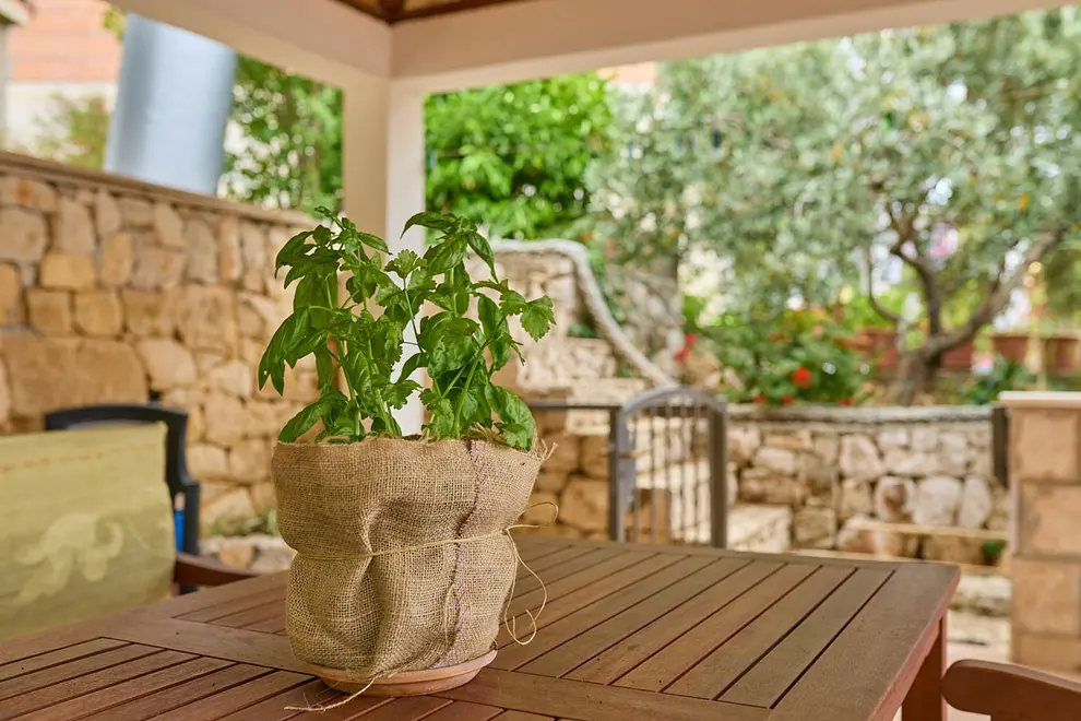 Ferienwohnung in Mljet  999211189 39002 – Foto 14