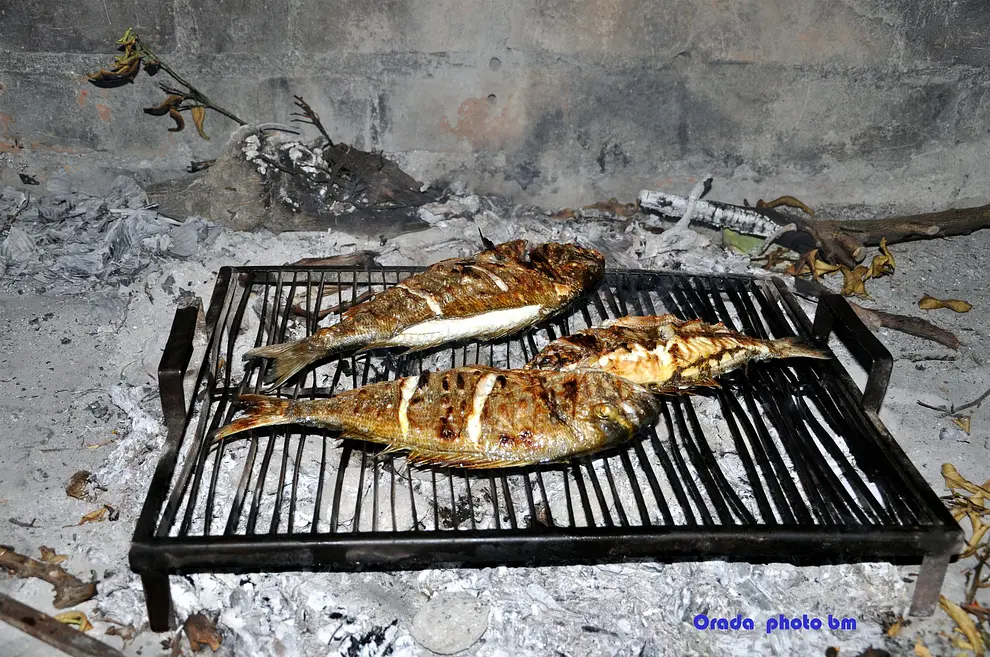 Ferienwohnung in Rogoznica  66119390 7622