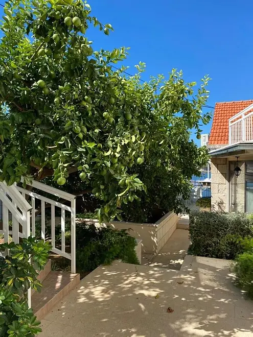Ferienwohnung in Korcula haustiergeeignet 999207454 35502 – Foto 4