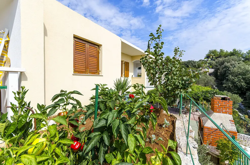 Ferienwohnung in Marina  999206097 34217 – Foto 29