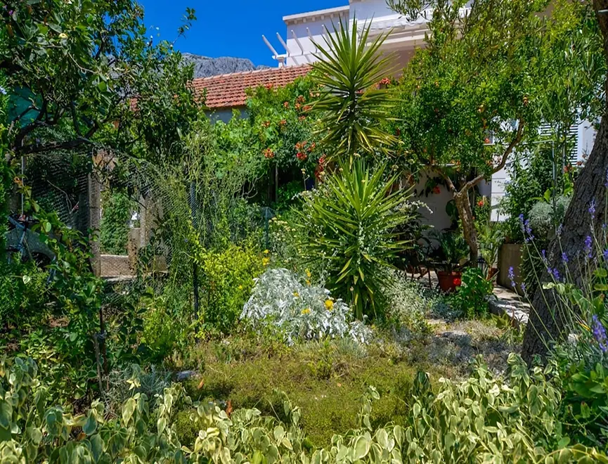 Ferienwohnung in Orebic  999210501 38355