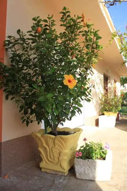 Ferienwohnung in Kali  999212301 39963 – Foto 21