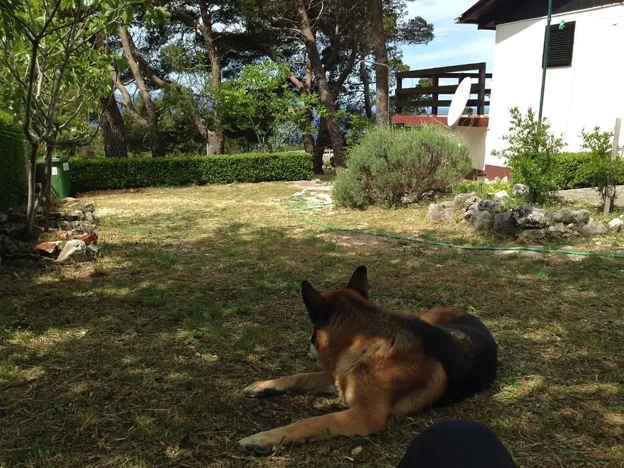 Ferienwohnung in Baska Voda  999212663 40248