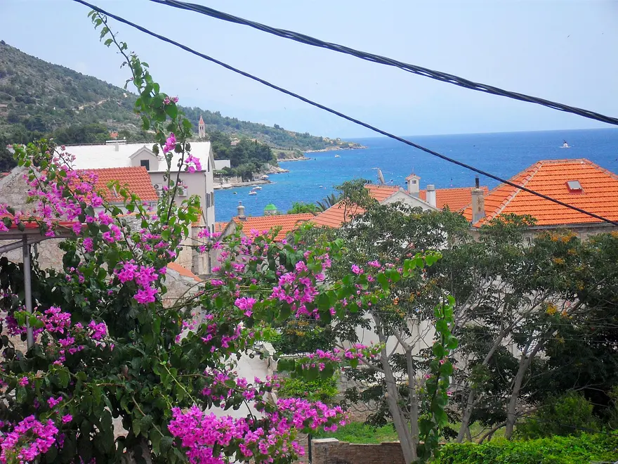 Ferienwohnung in Bol  66119849 7973