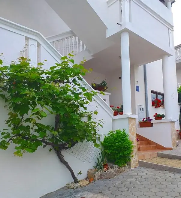 Ferienwohnung in Murter  999206647 34742 – Foto 6