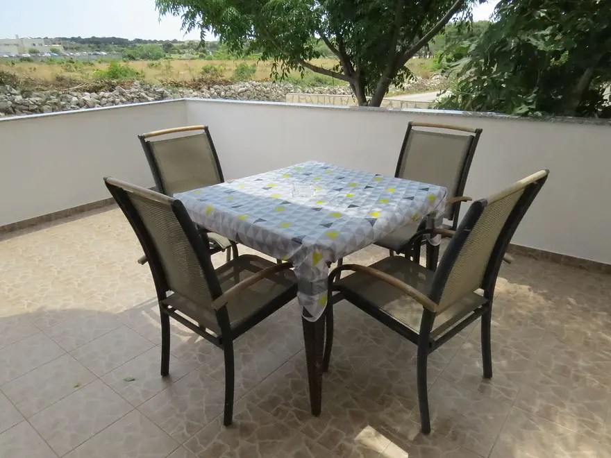 Ferienwohnung in Novalja haustiergeeignet 66131585 16931