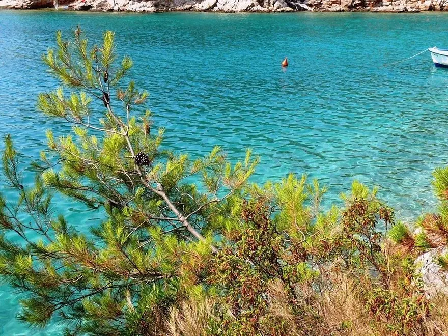 Ferienwohnung in Brac haustiergeeignet 999202571 30847