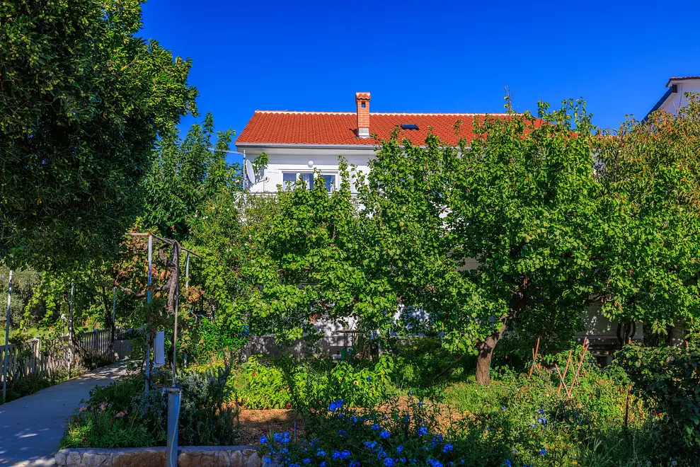 Ferienwohnung in Barbat haustiergeeignet 66158792 29435