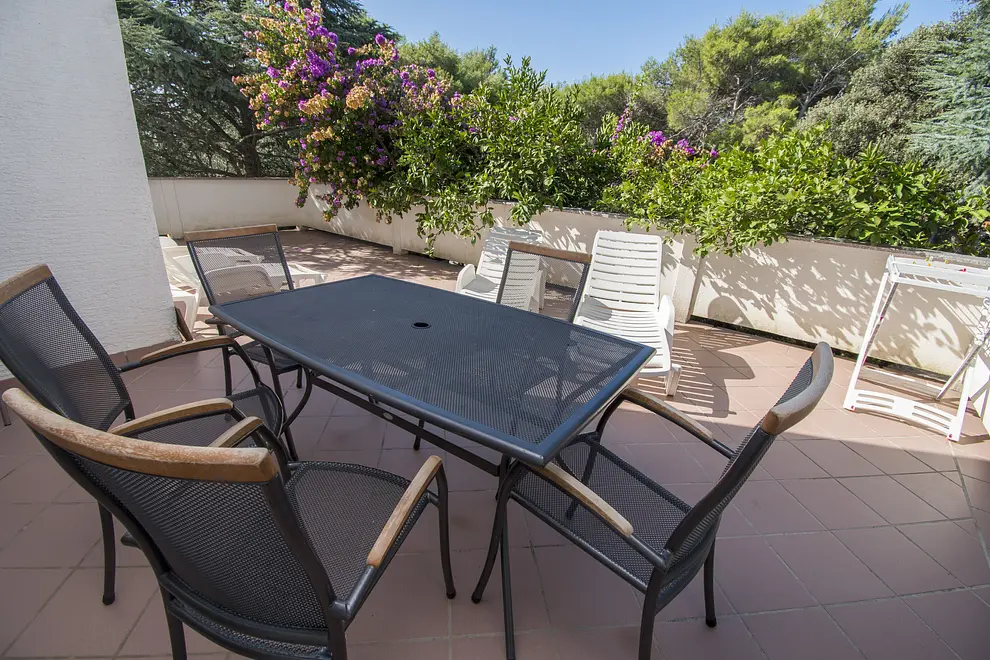 Ferienwohnung in Mandre  999211913 41314 – Foto 3