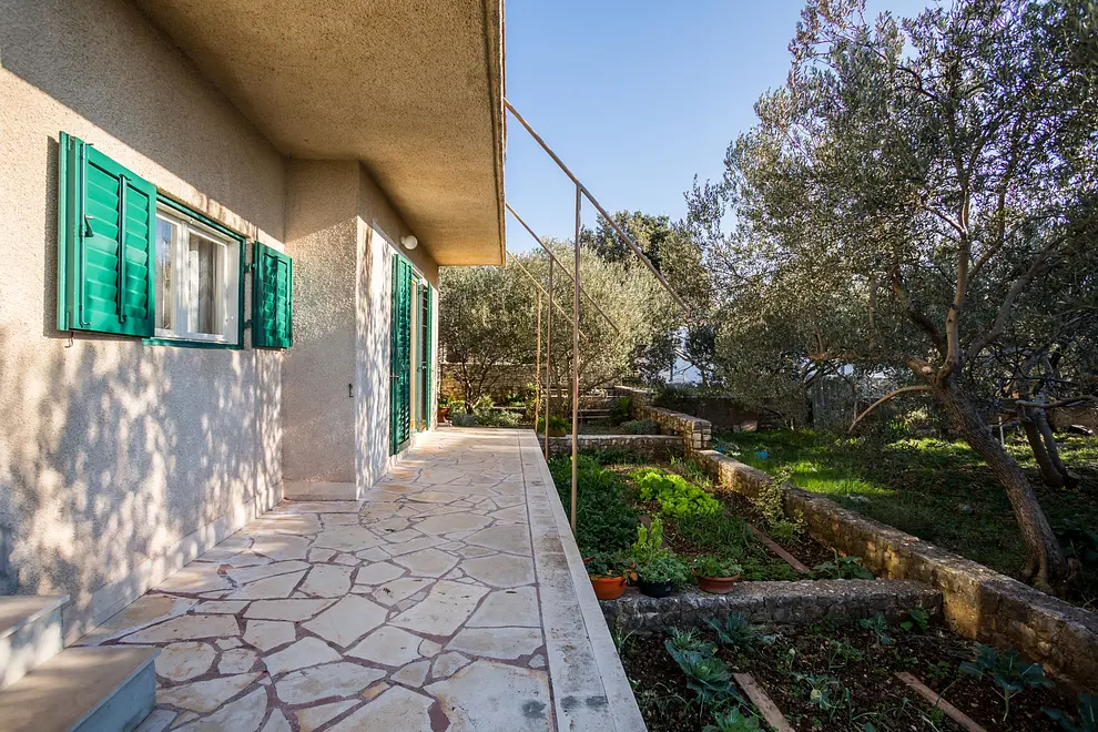 Ferienwohnung in Marina  66124210 11261