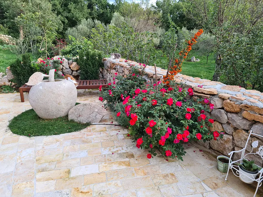 Ferienwohnung in Starigrad  999207933 35930 – Foto 10