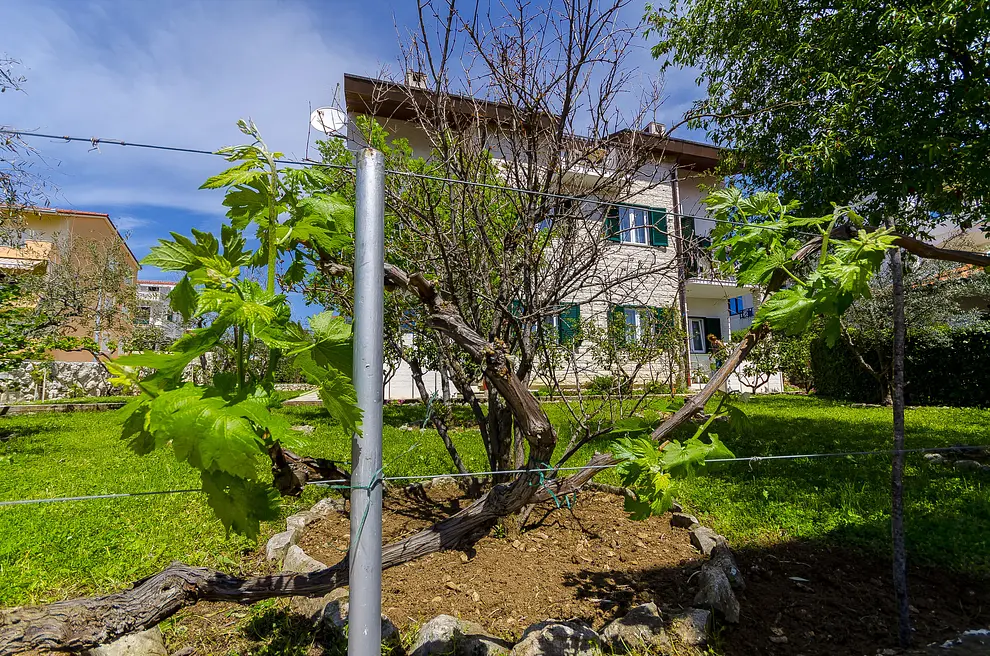 Ferienwohnung in Ciovo  999205622 33764 – Foto 9