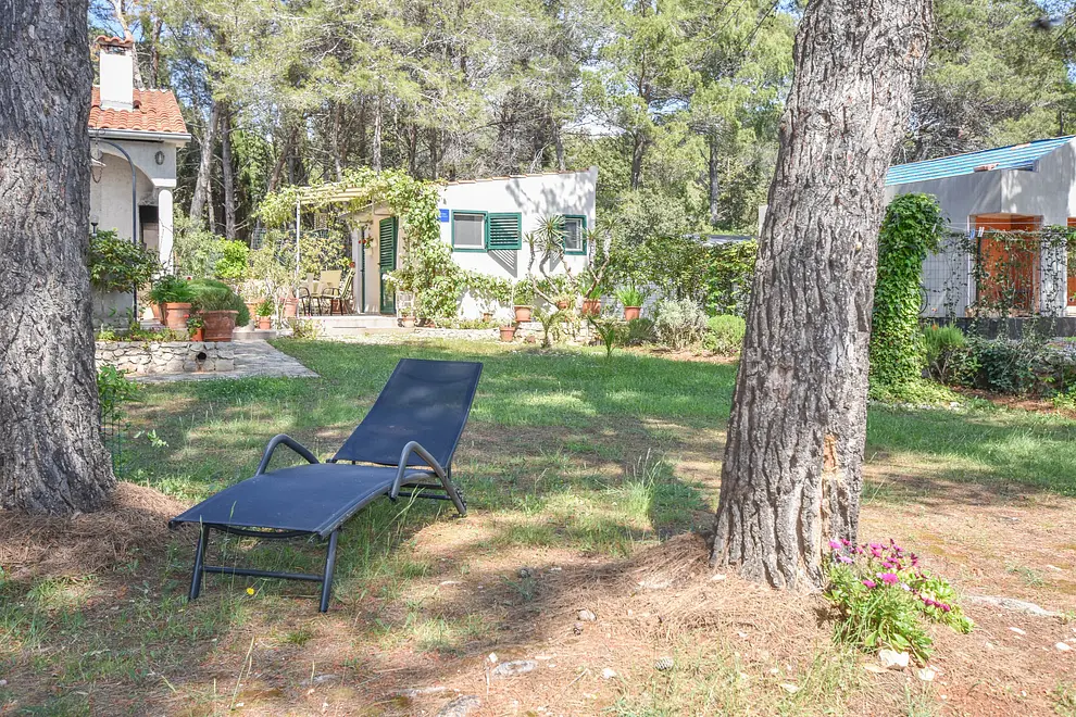 Ferienwohnung in Dugi Otok  999202562 30839 – Foto 8