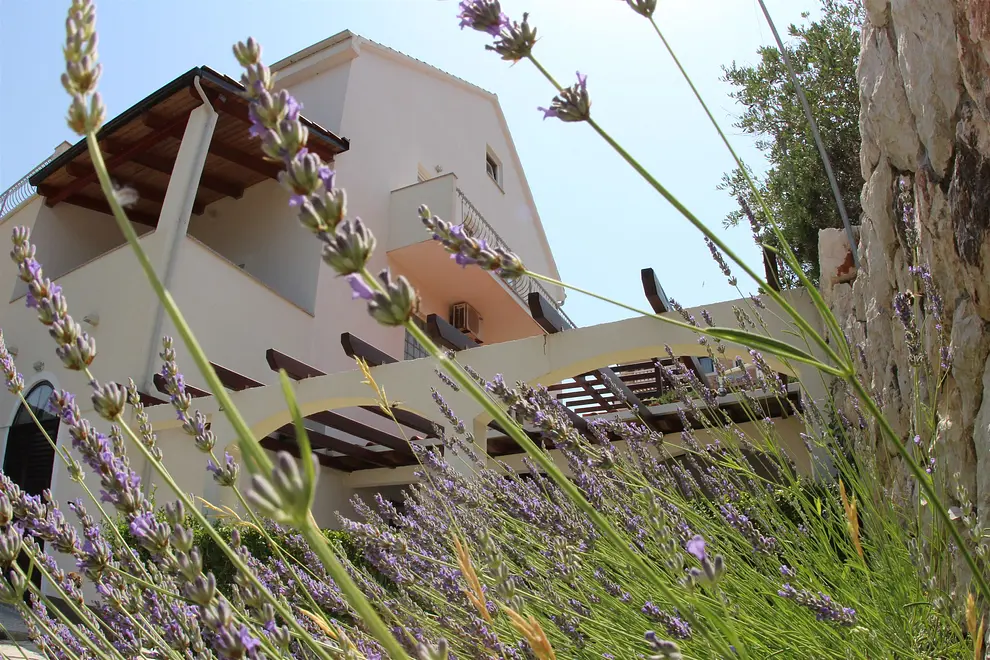 Ferienwohnung in Hvar mit Pool 999202499 30783 – Foto 5
