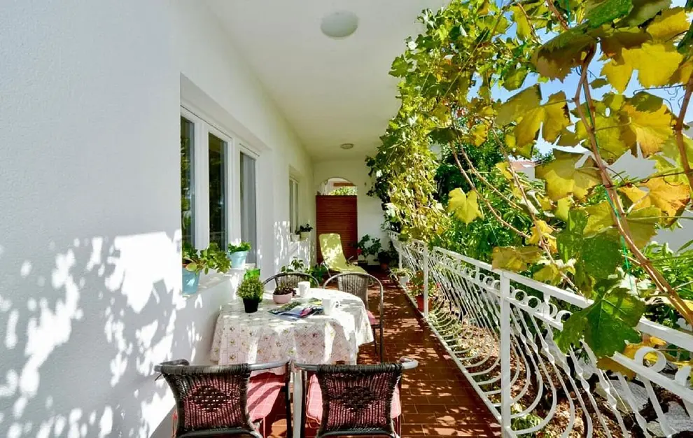 Ferienwohnung in Marina haustiergeeignet 66153083 26831