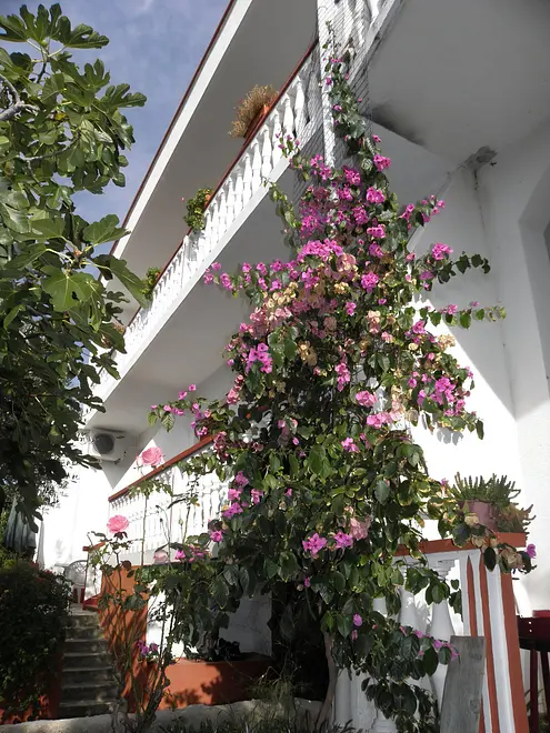 Ferienwohnung in Pag  999210755 38597