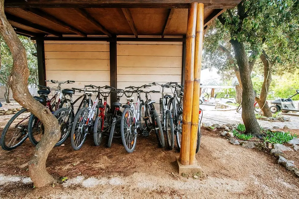 Ferienwohnung in Zadar  999203713 31945 – Foto 3