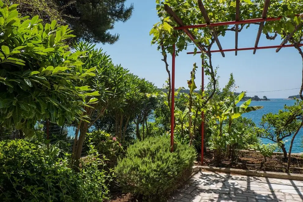 Ferienwohnung in Losinj  999213404 40914 – Foto 33