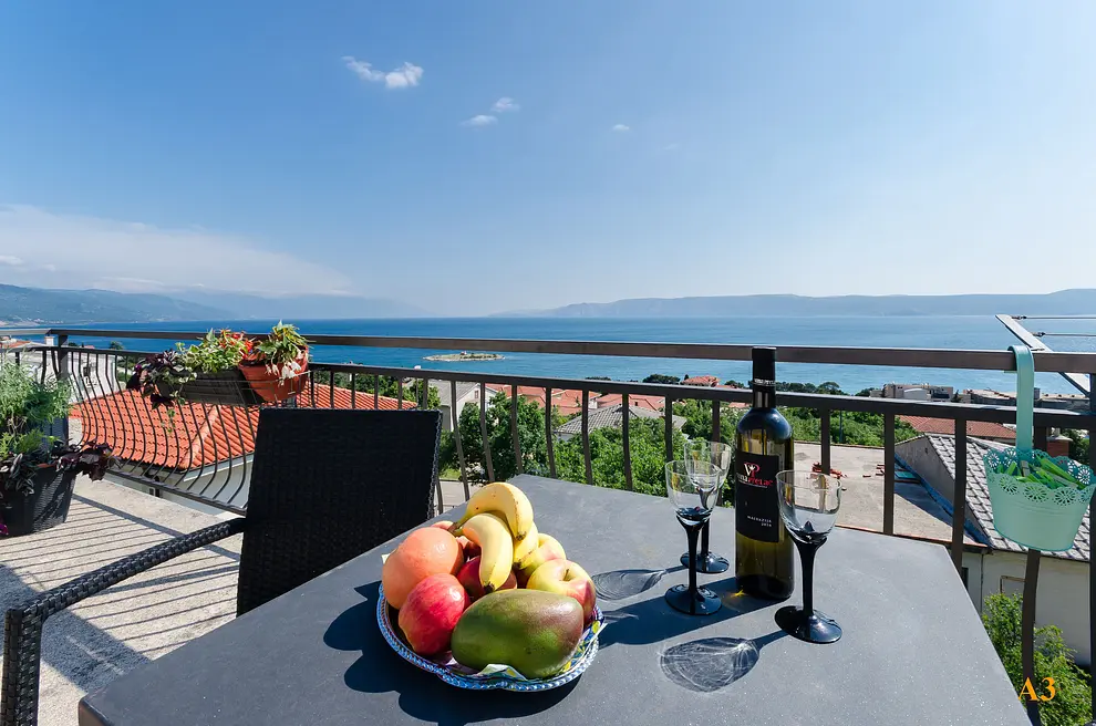 Ferienwohnung in Novi Vinodolski haustiergeeignet 66113220 4190